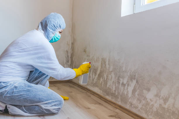 Hvac And Air Duct Mold Remediation inspection of HVAC system in Marblehead
